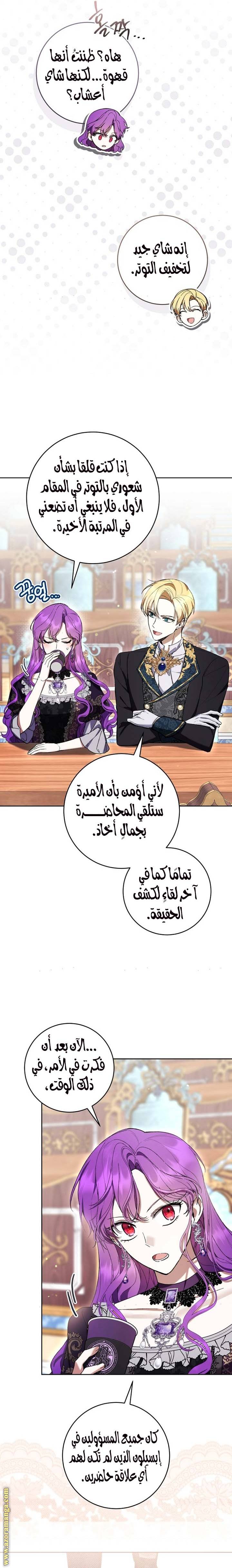 الصفحة 17