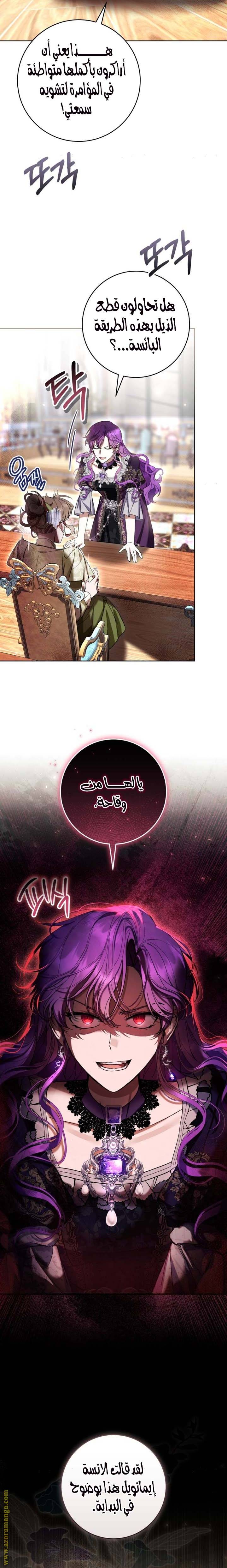 الصفحة 24