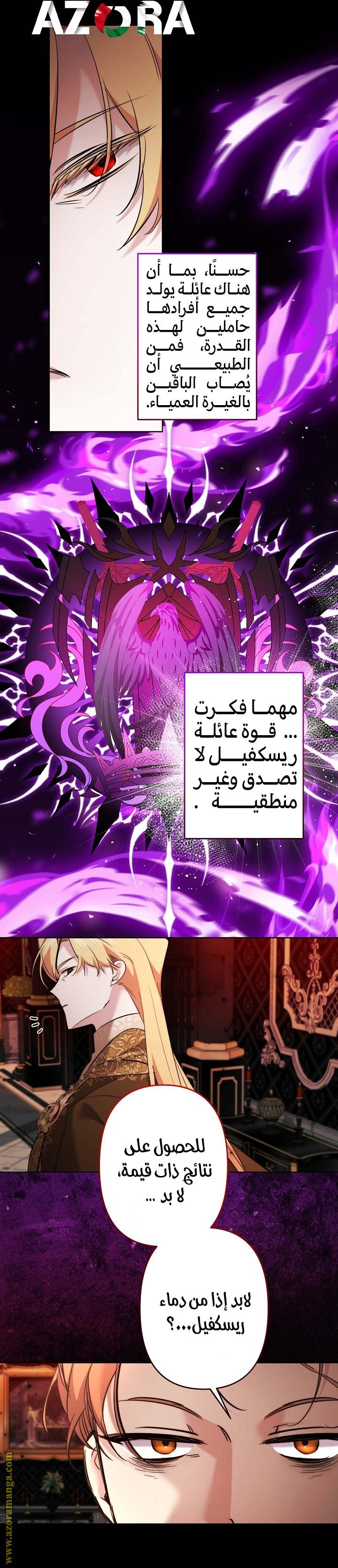 الصفحة 17