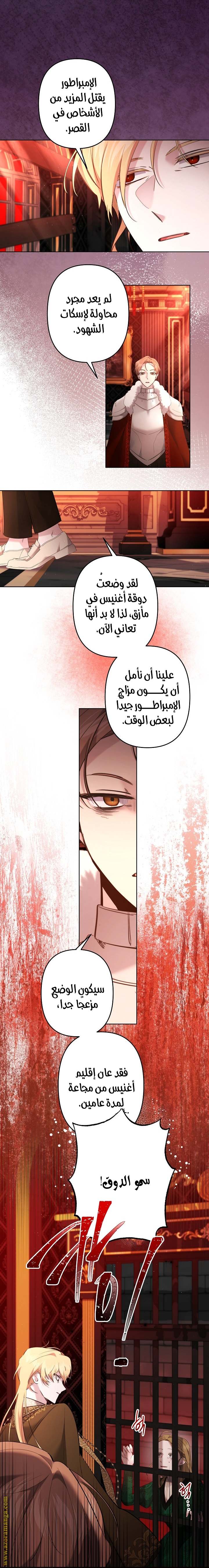 الصفحة 19