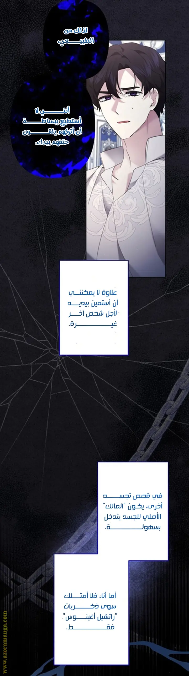 الصفحة 17