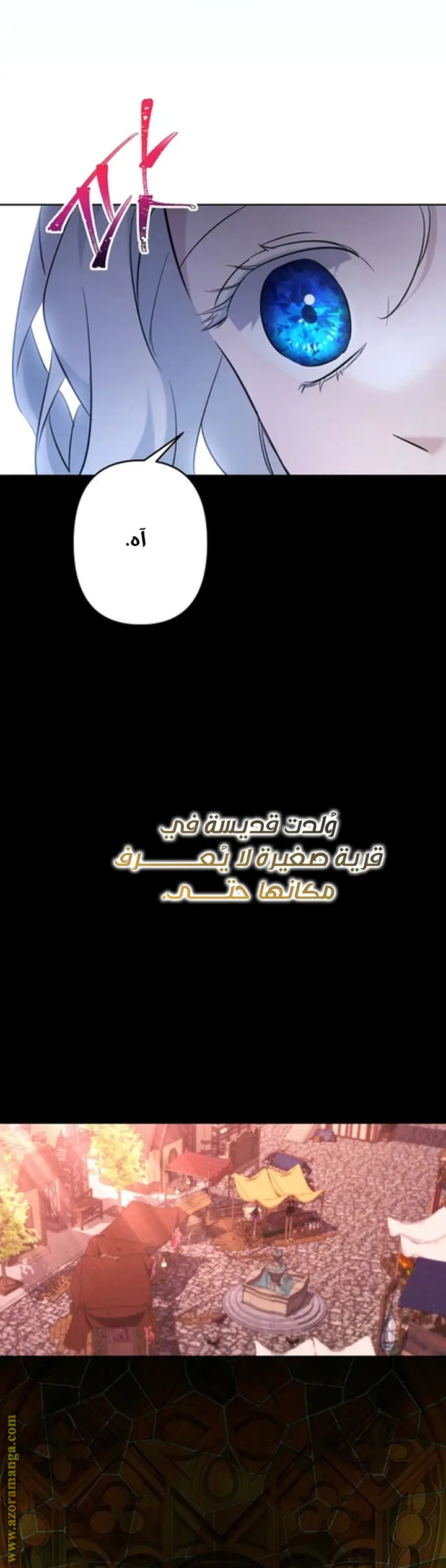 الصفحة 30