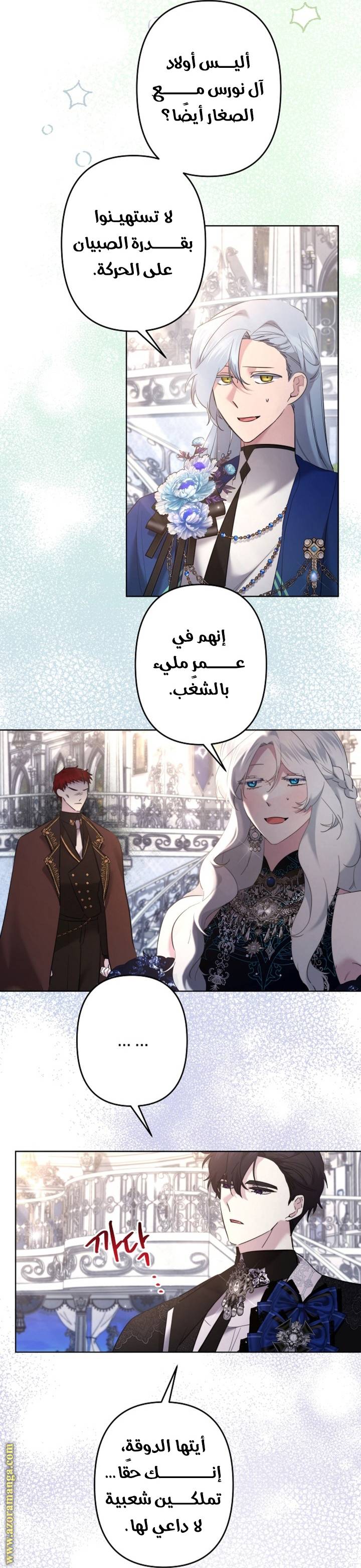الصفحة 17