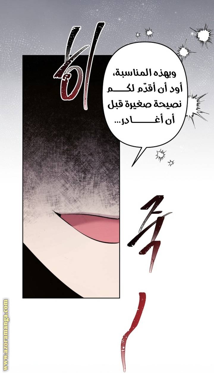 الصفحة 27