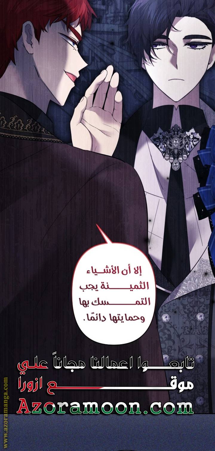 الصفحة 29