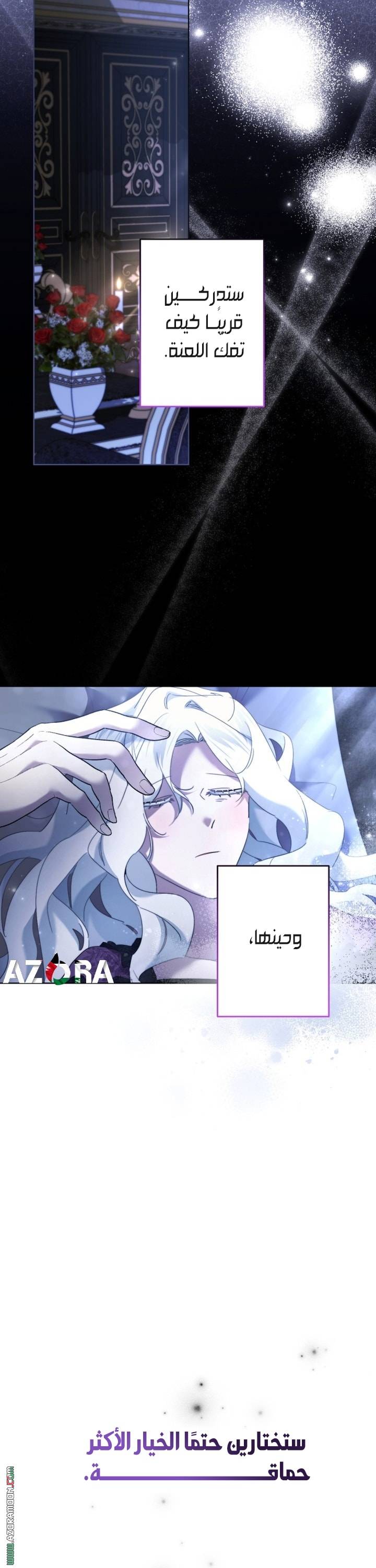 الصفحة 13