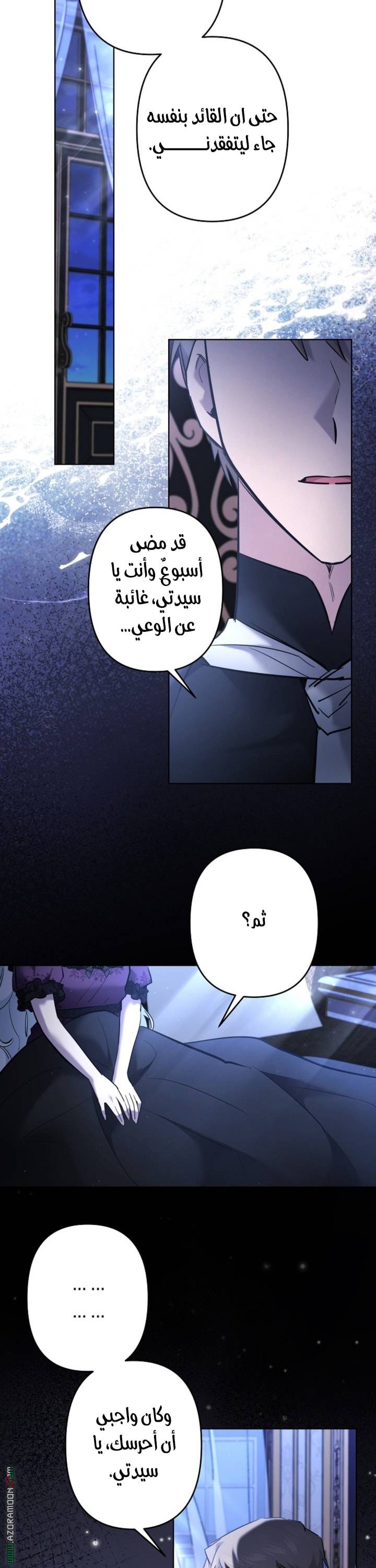 الصفحة 29