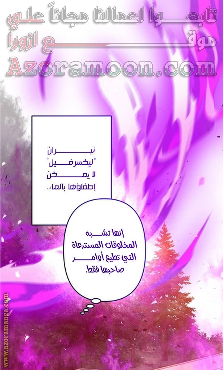 الصفحة 25