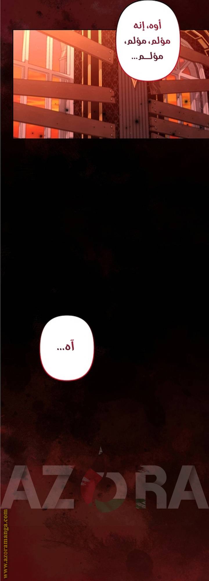 الصفحة 42