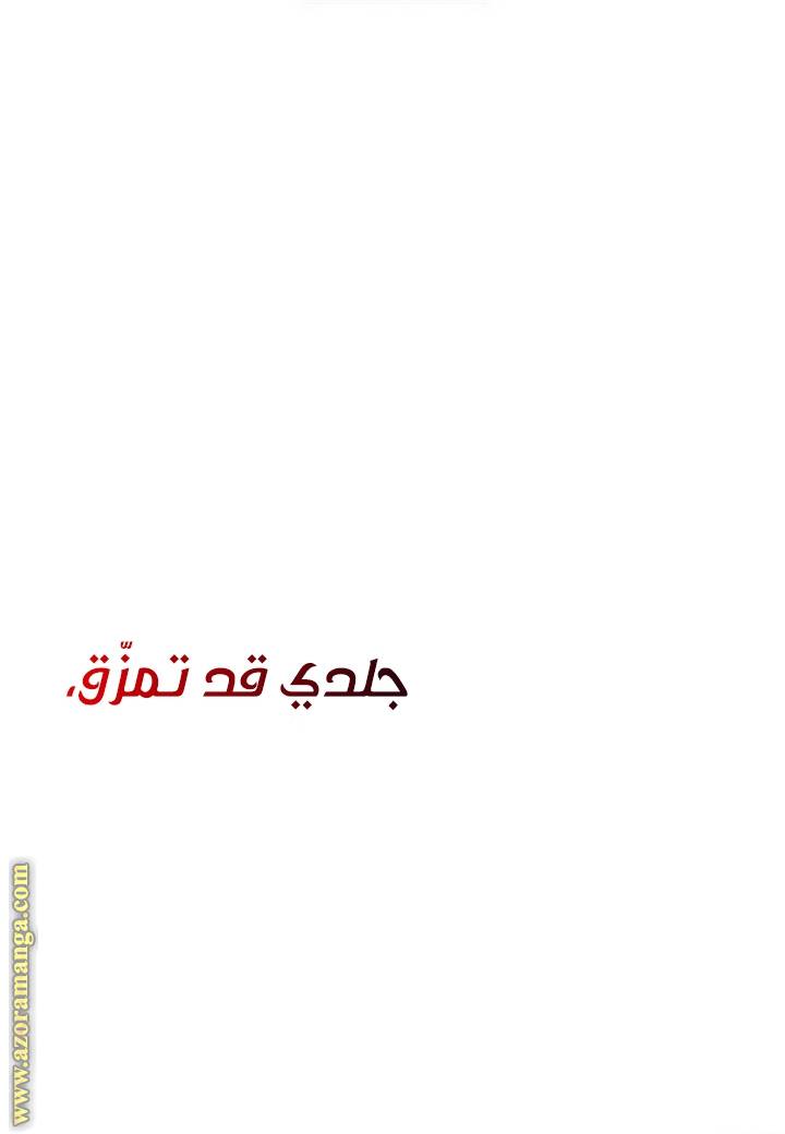 الصفحة 44