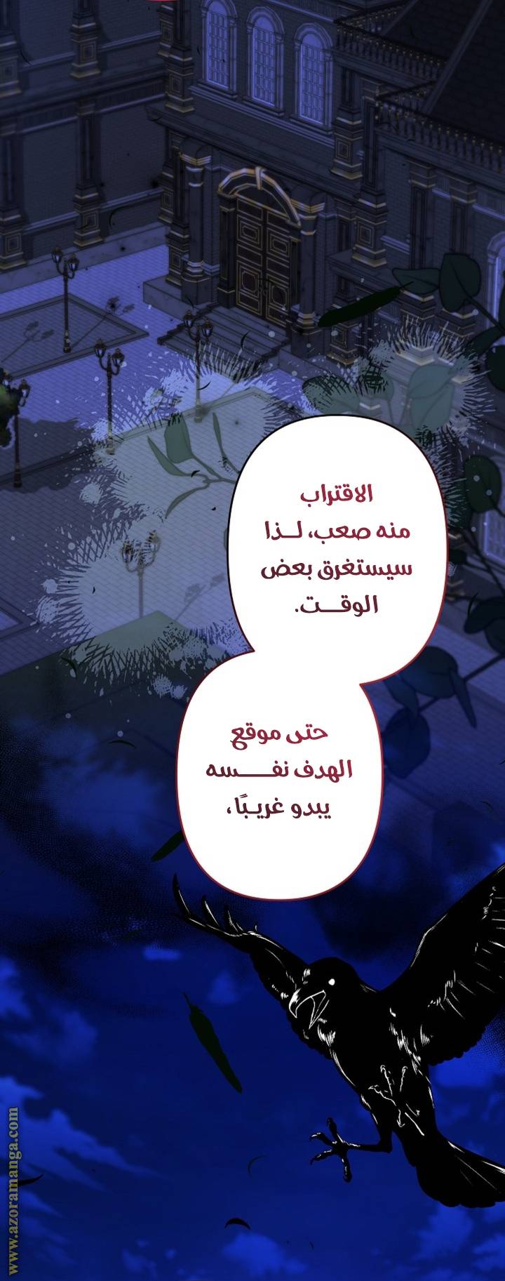 الصفحة 11