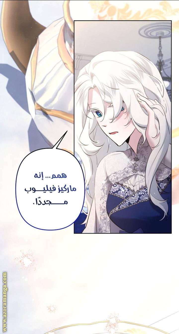 الصفحة 24