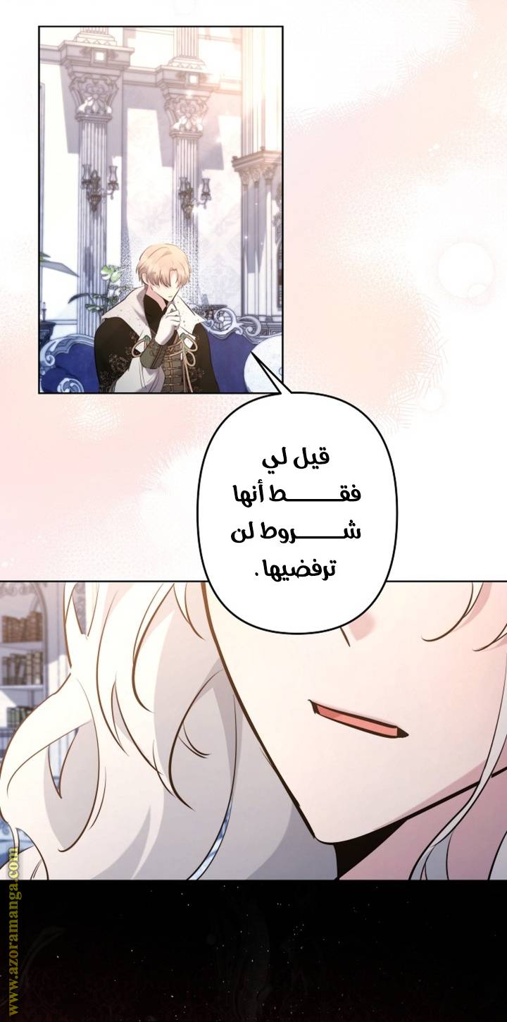 الصفحة 28