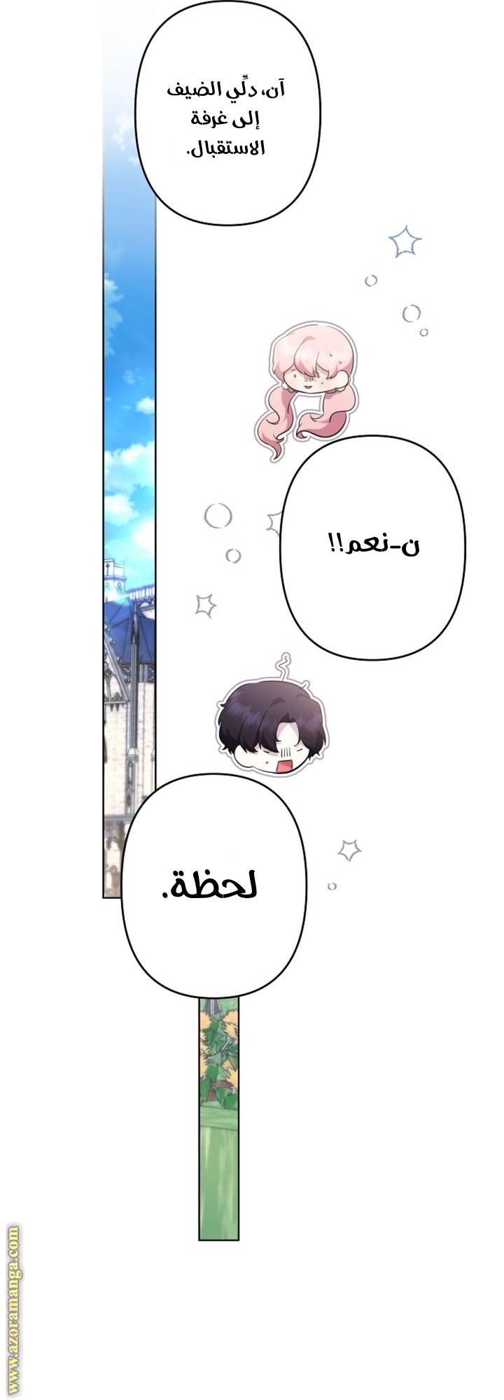 الصفحة 25