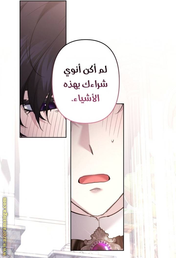 الصفحة 41