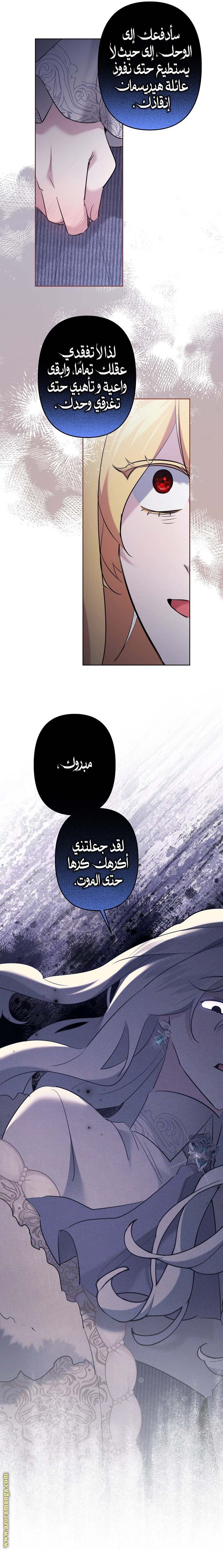 الصفحة 17