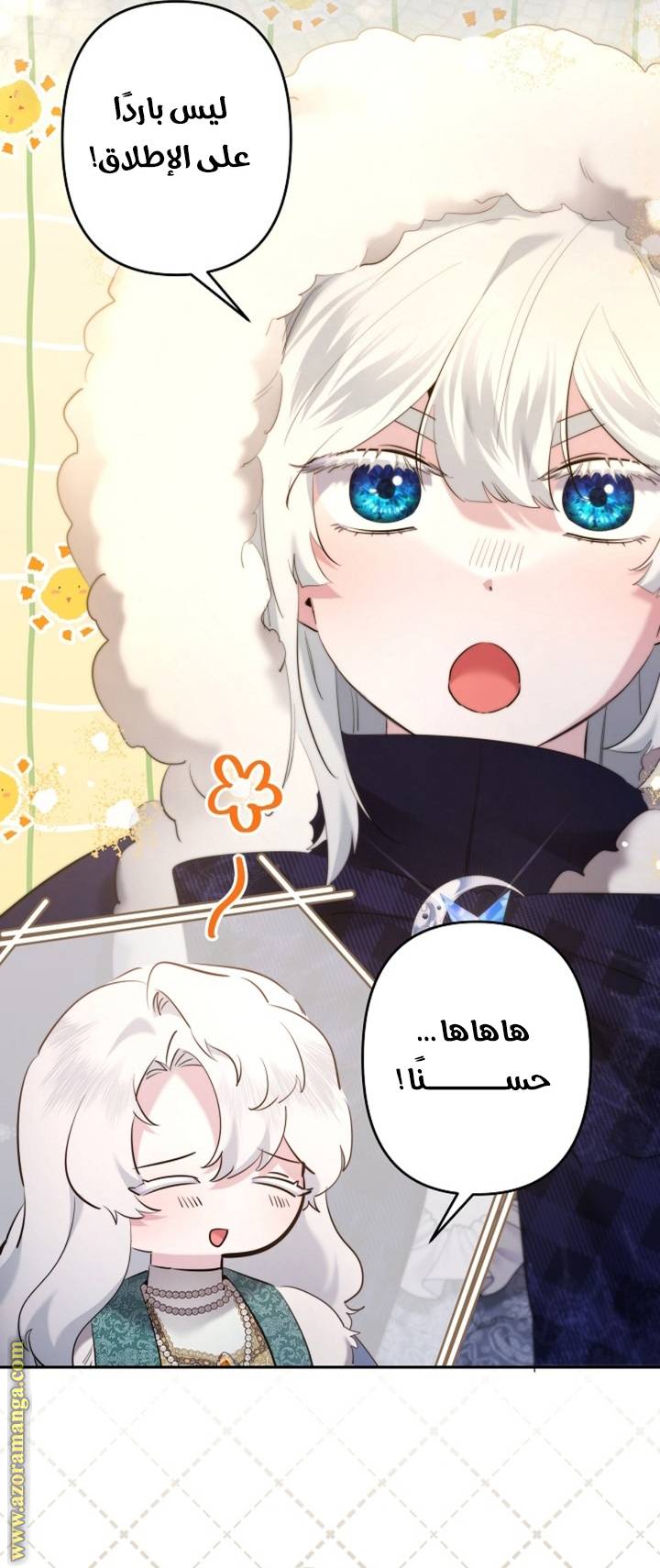 الصفحة 27