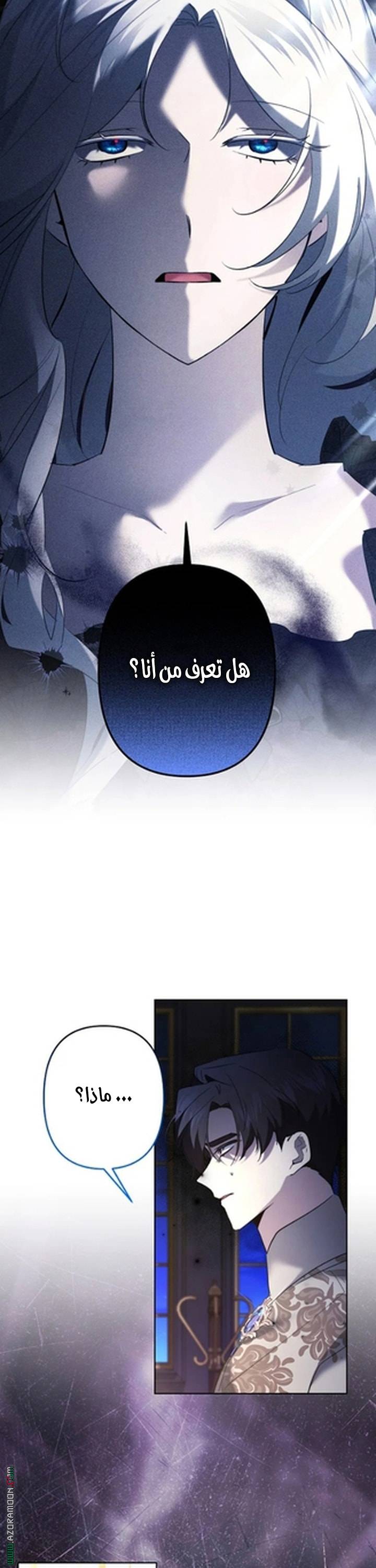 الصفحة 20