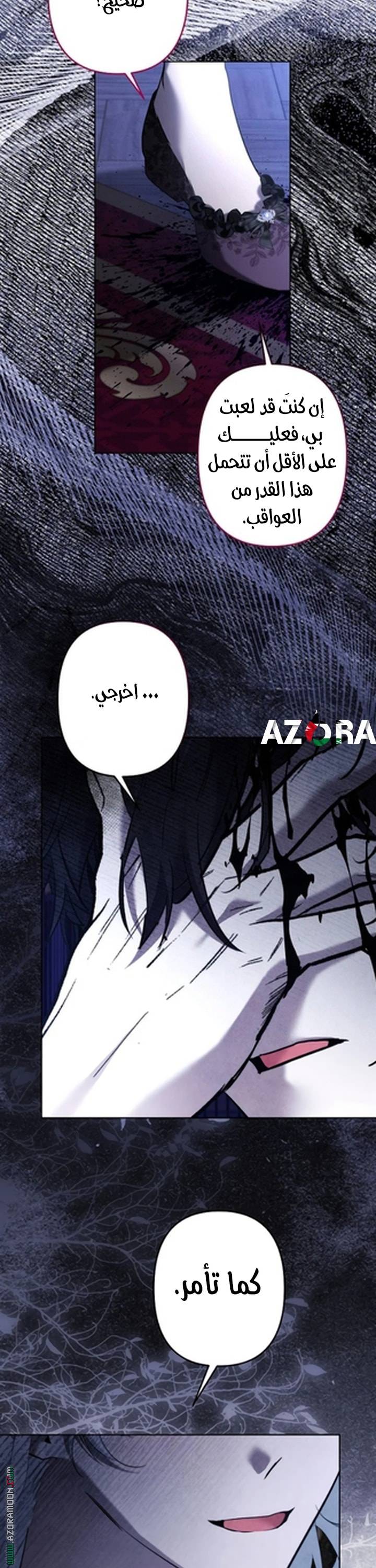 الصفحة 27