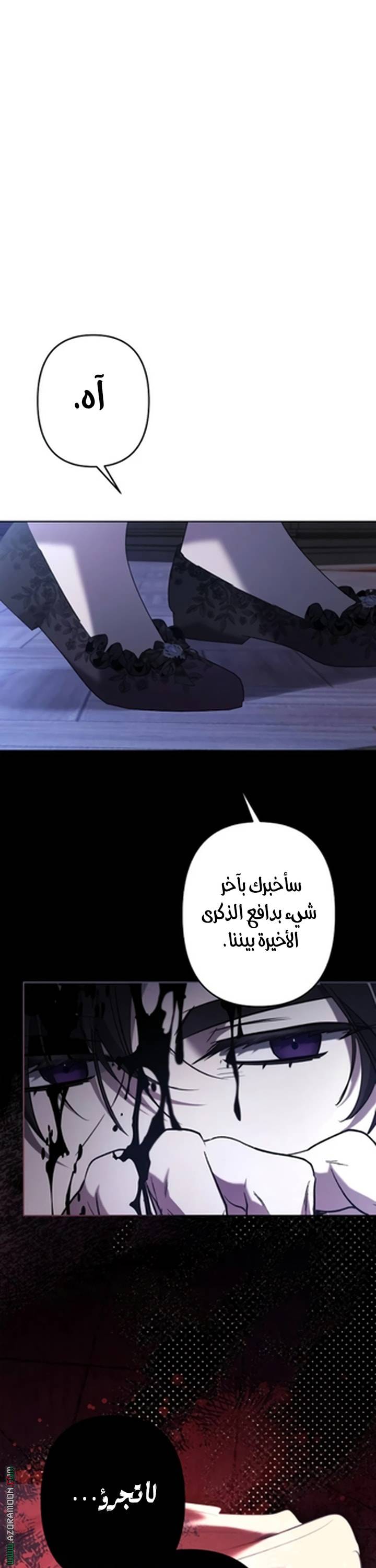 الصفحة 29