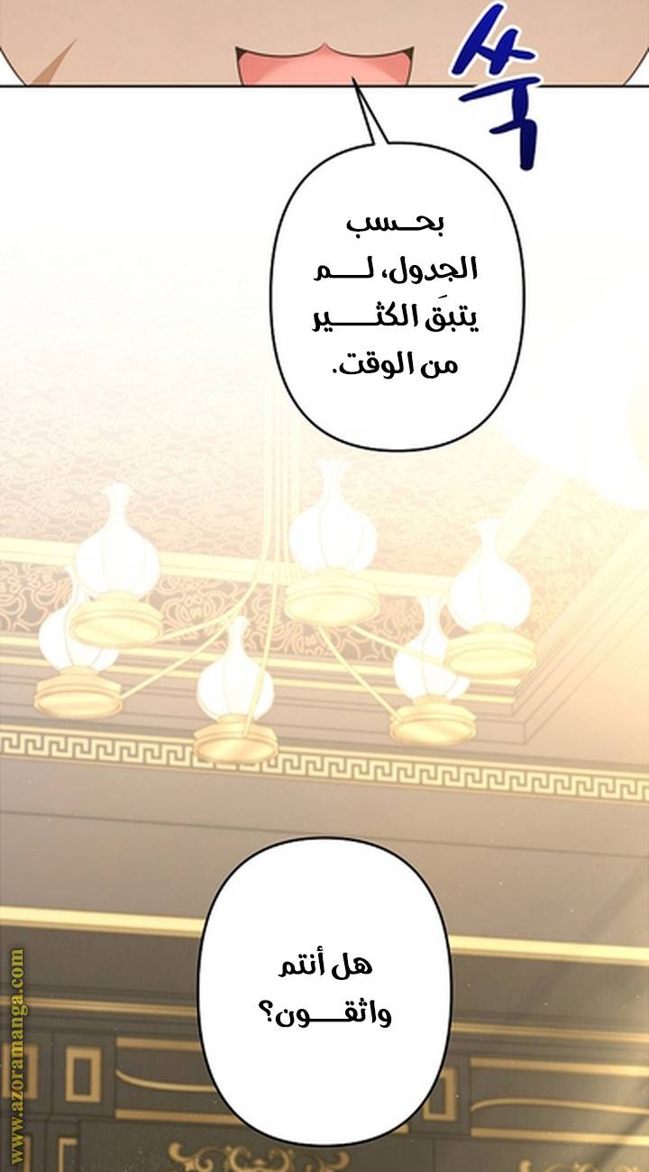 الصفحة 25