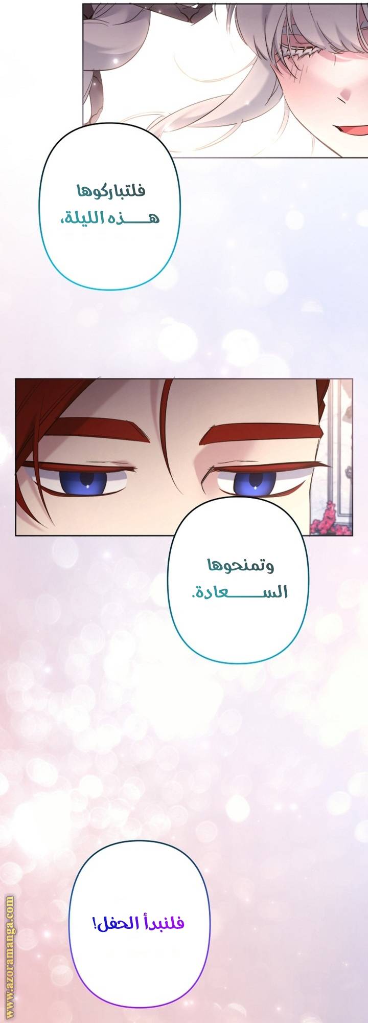 الصفحة 17