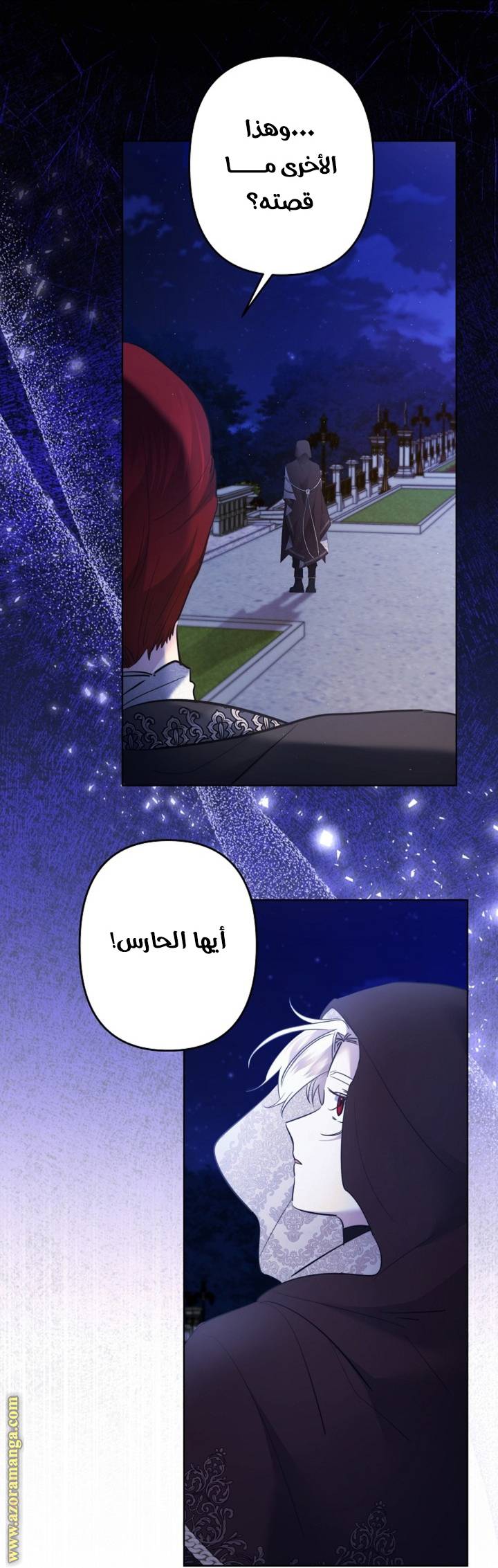 الصفحة 30