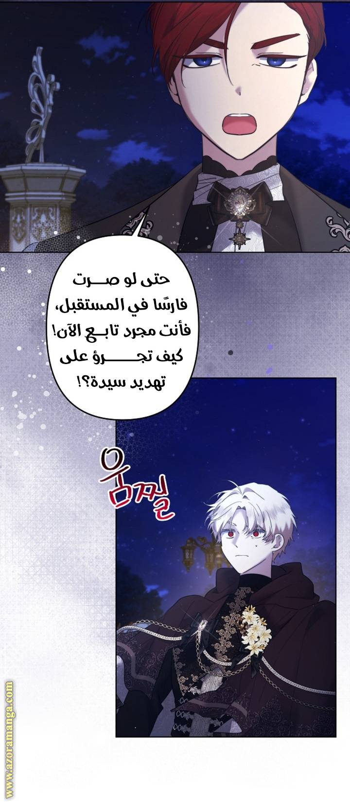 الصفحة 35