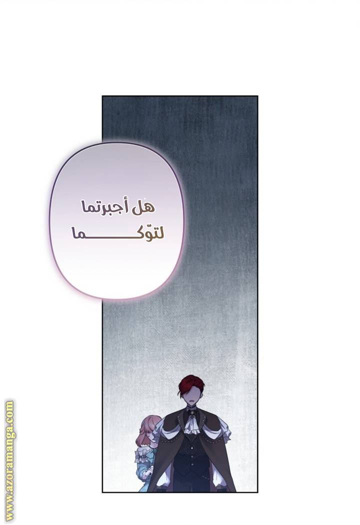 الصفحة 41