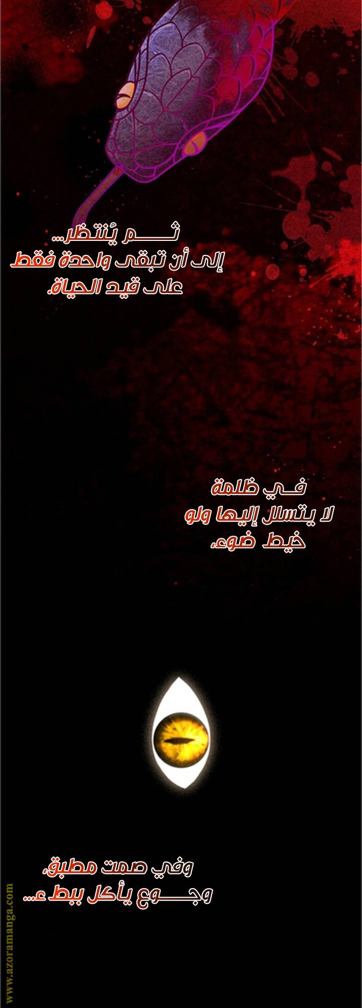 الصفحة 3