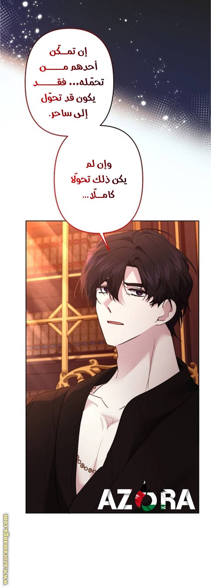 الصفحة 13