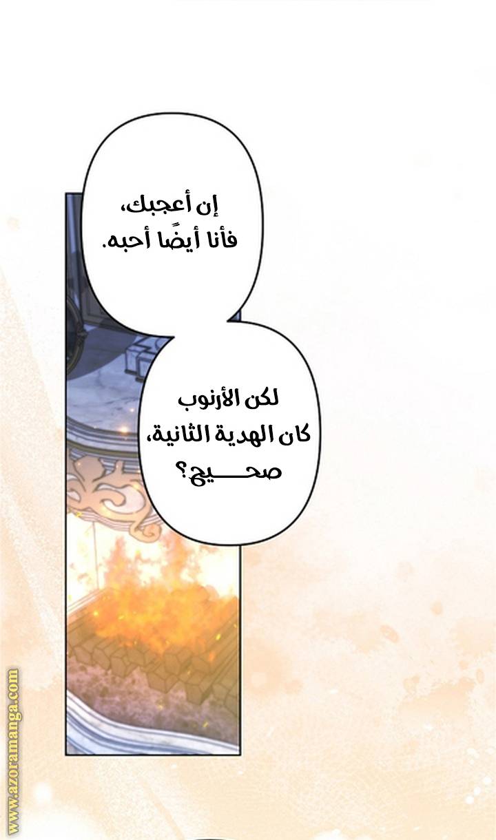 الصفحة 27