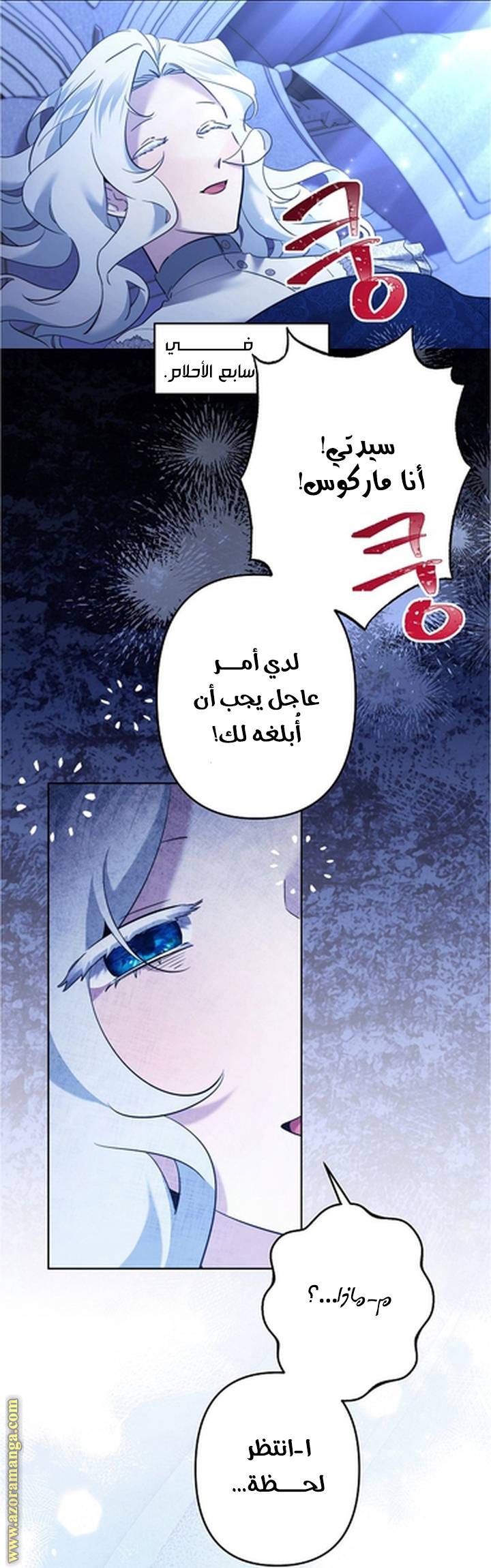 الصفحة 43