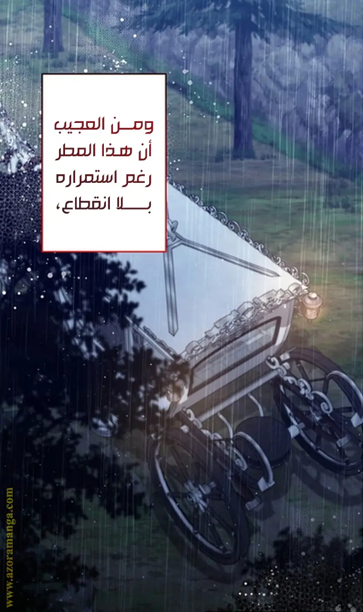 الصفحة 24
