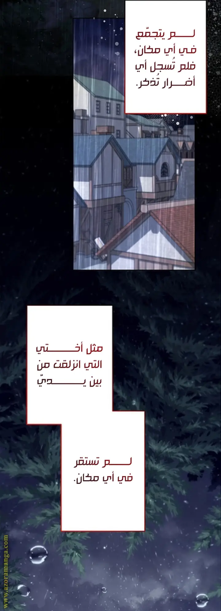 الصفحة 25