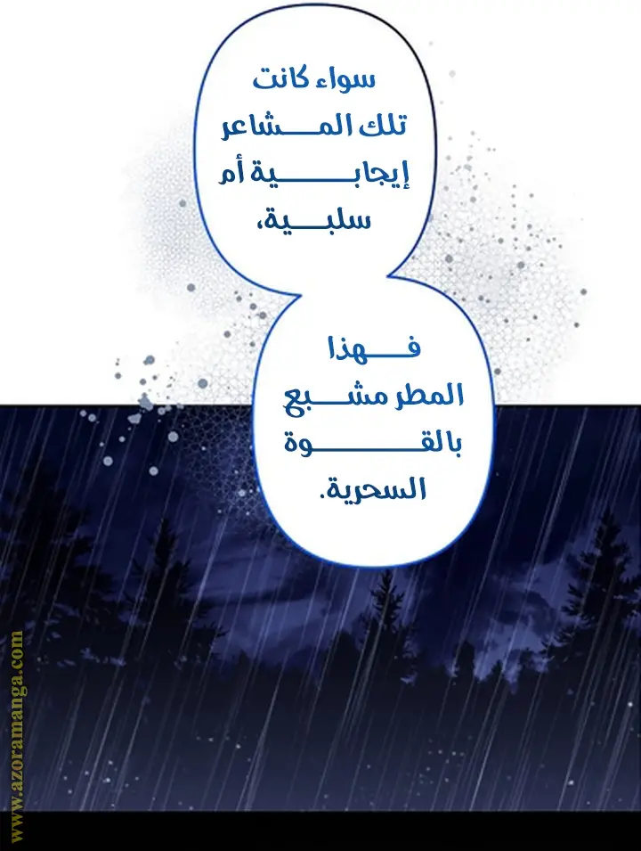 الصفحة 41
