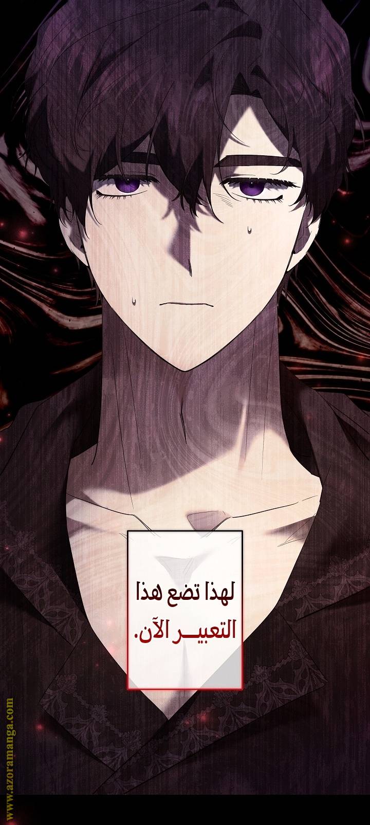 الصفحة 11