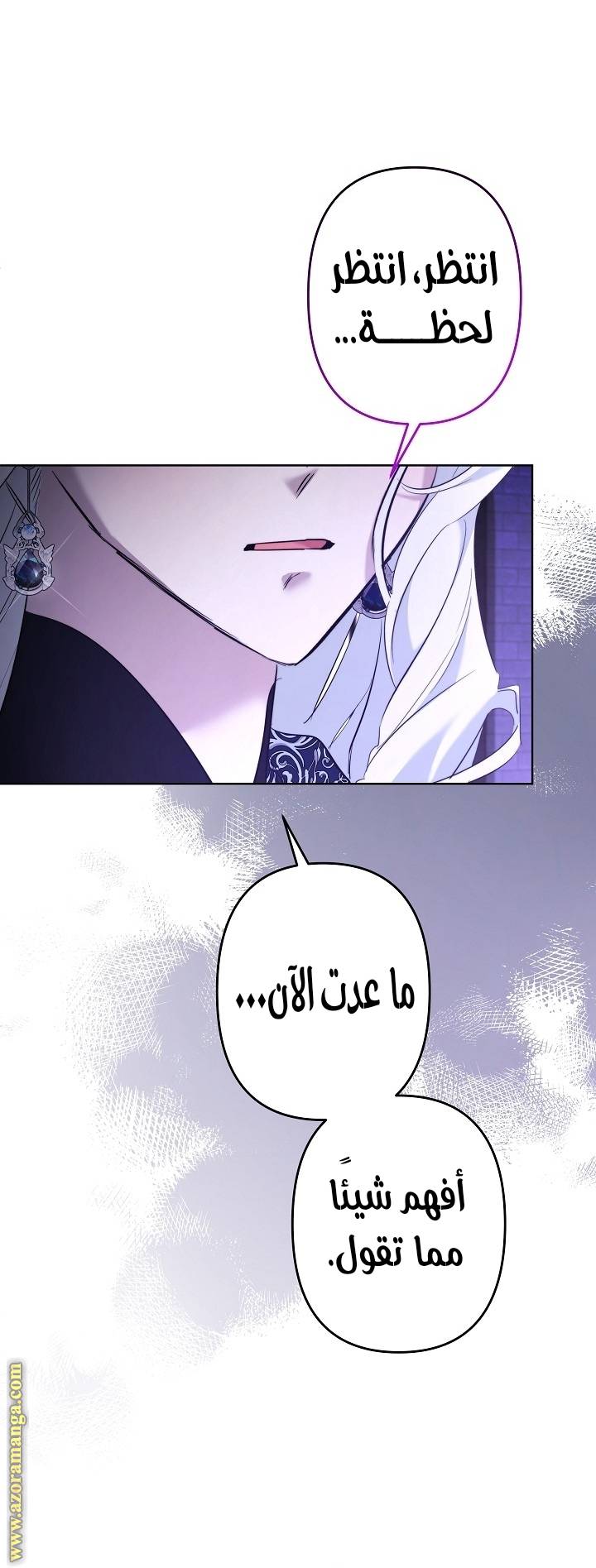 الصفحة 39
