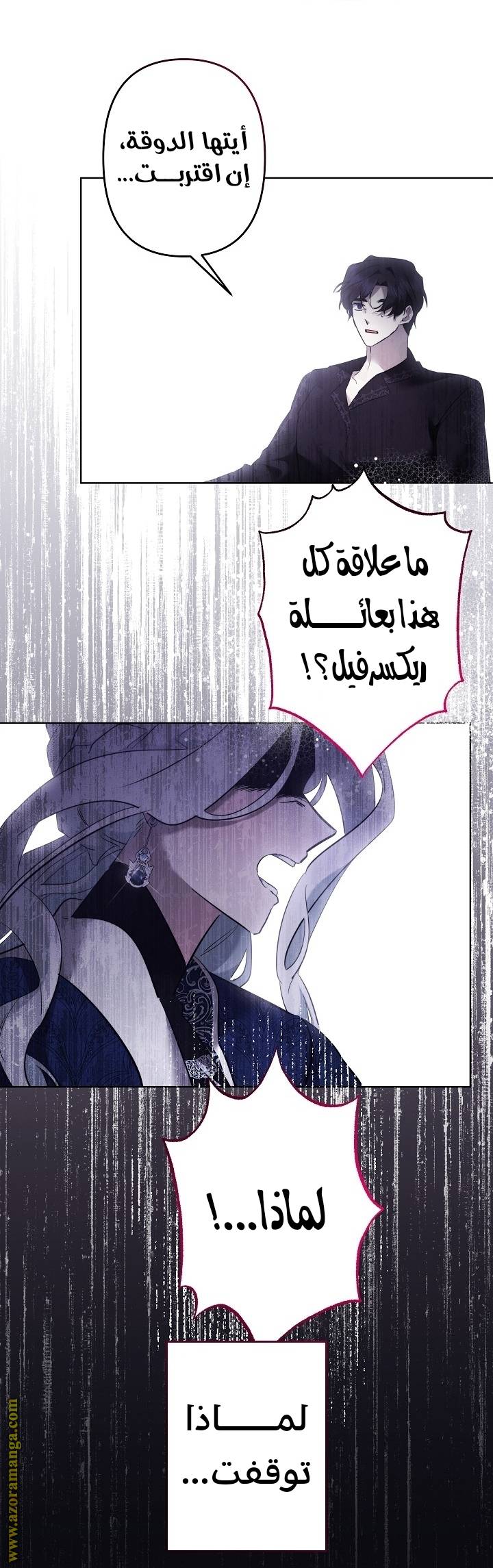 الصفحة 41
