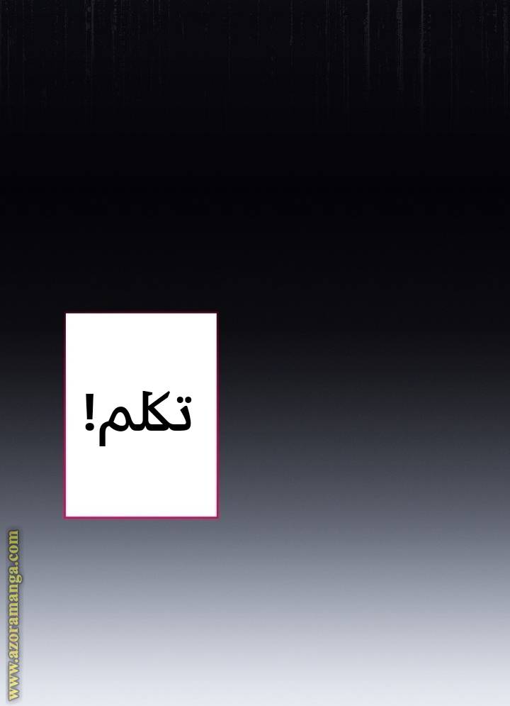الصفحة 42