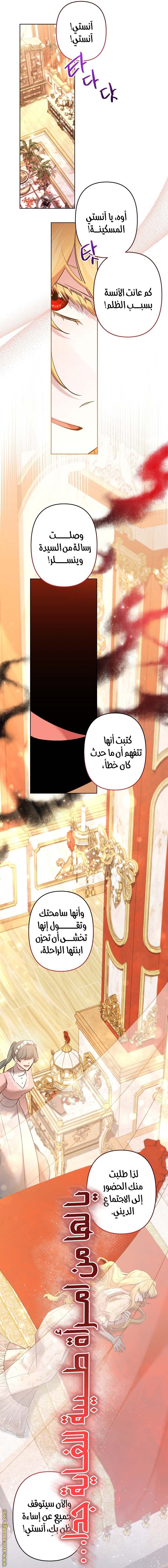 الصفحة 17
