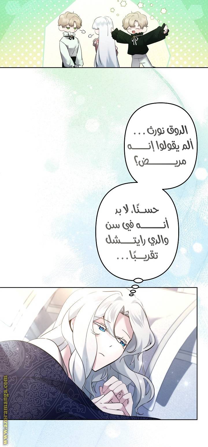 الصفحة 24