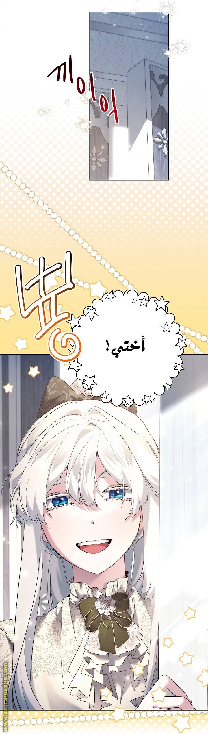 الصفحة 27