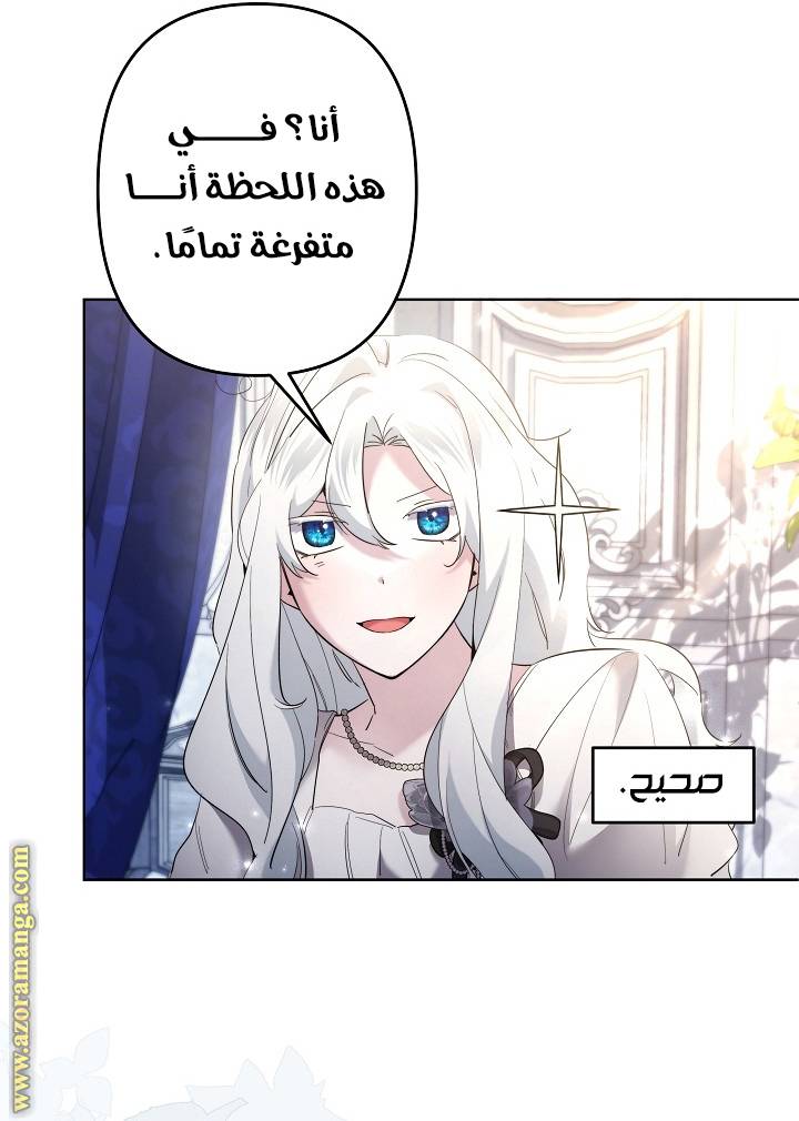 الصفحة 29