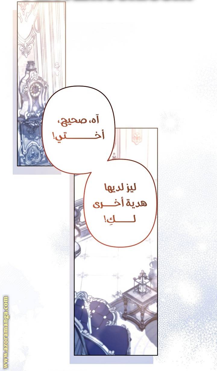 الصفحة 43