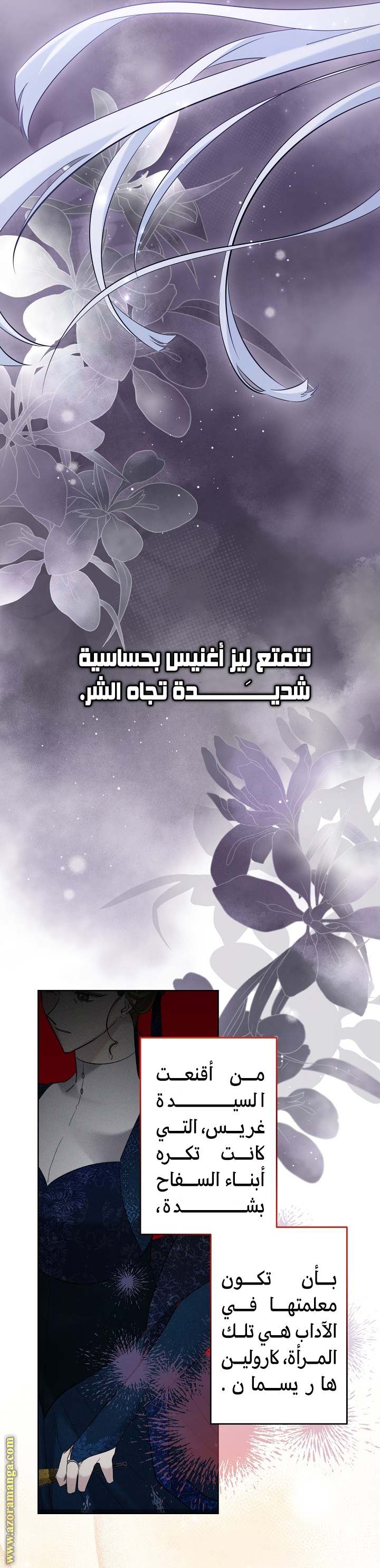 الصفحة 14