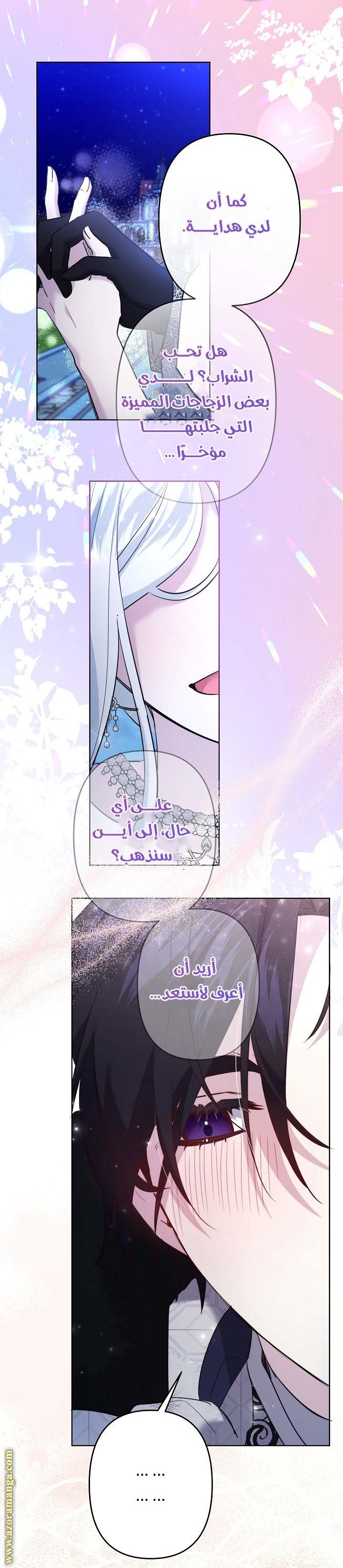 الصفحة 26