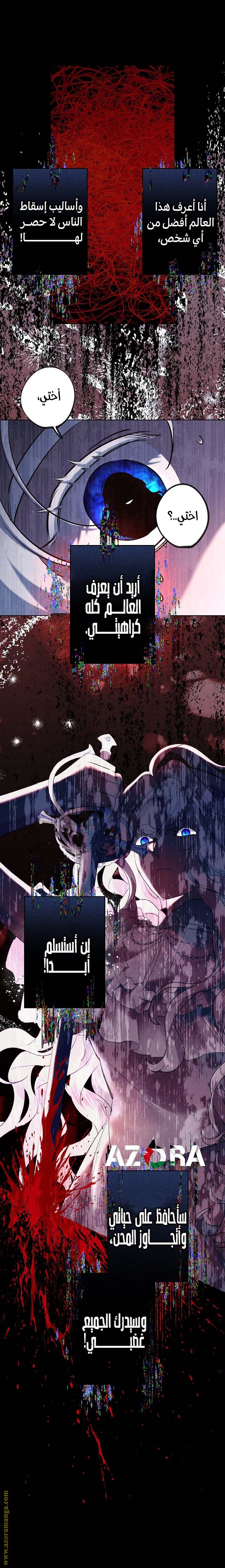 الصفحة 17