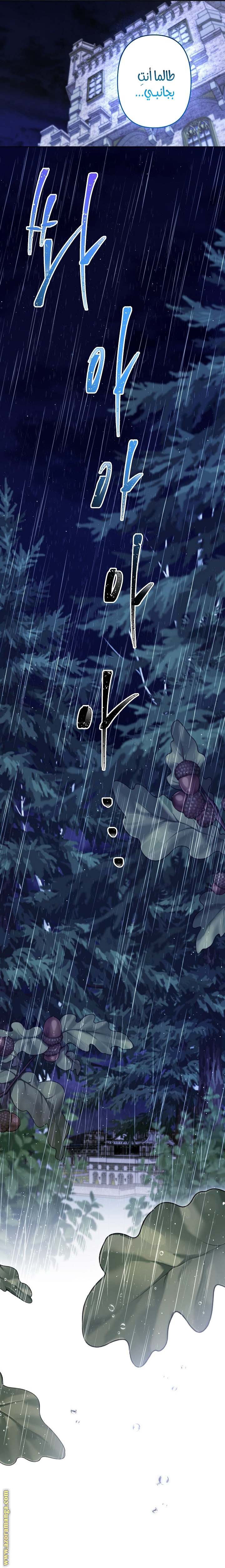 الصفحة 21