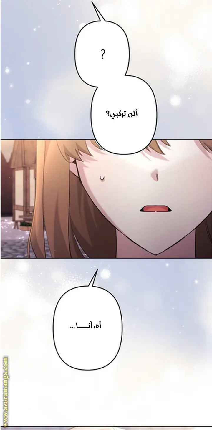 الصفحة 30